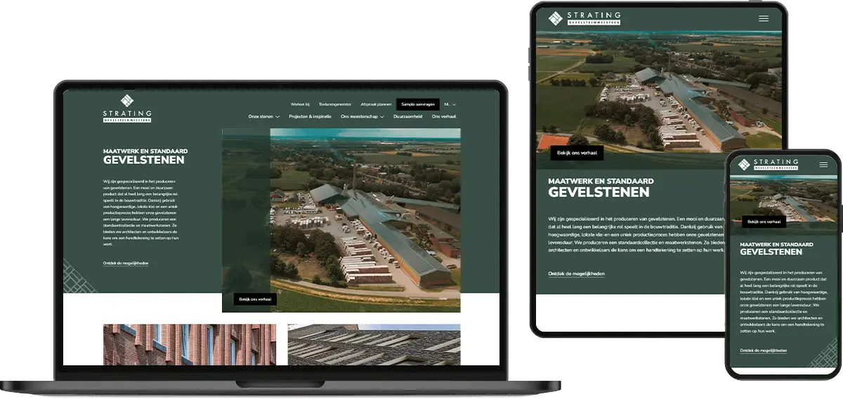 Website Strating Gevelsteenmeetsers