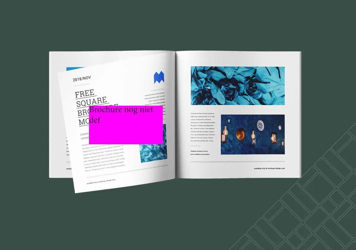 Brochure Dinkelsteen