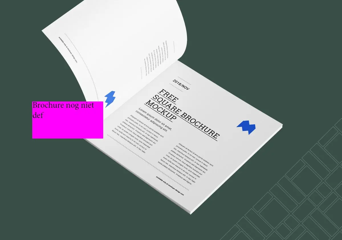 Brochure Dinkelsteen